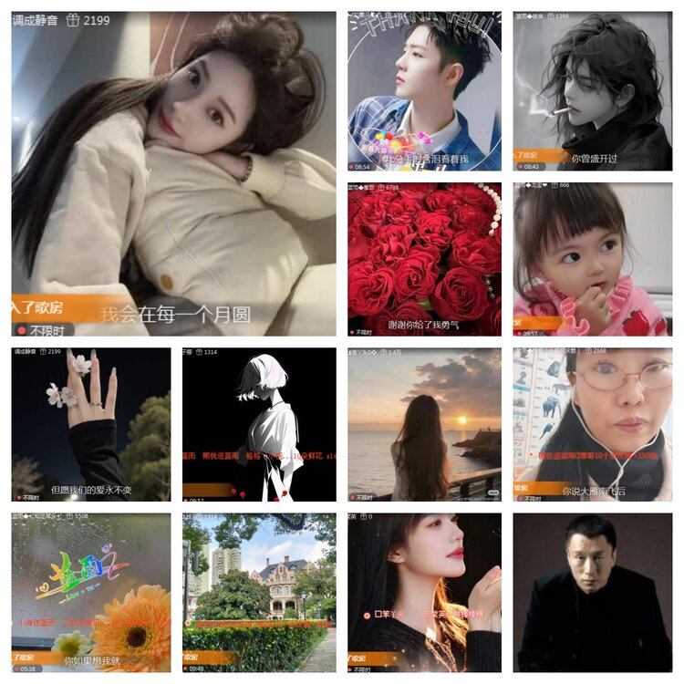 海燕🎤V娱热点