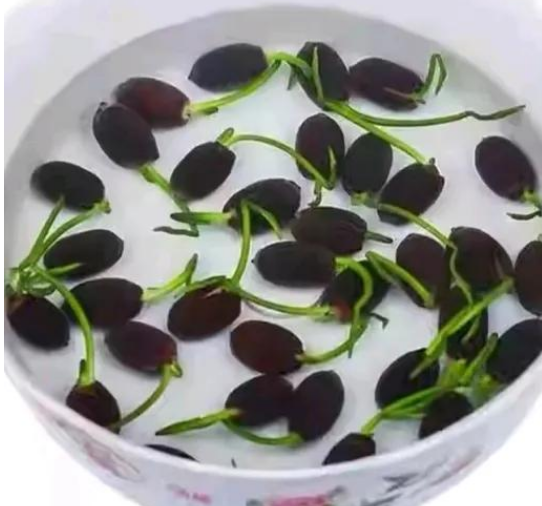 小浅🎤V娱热点