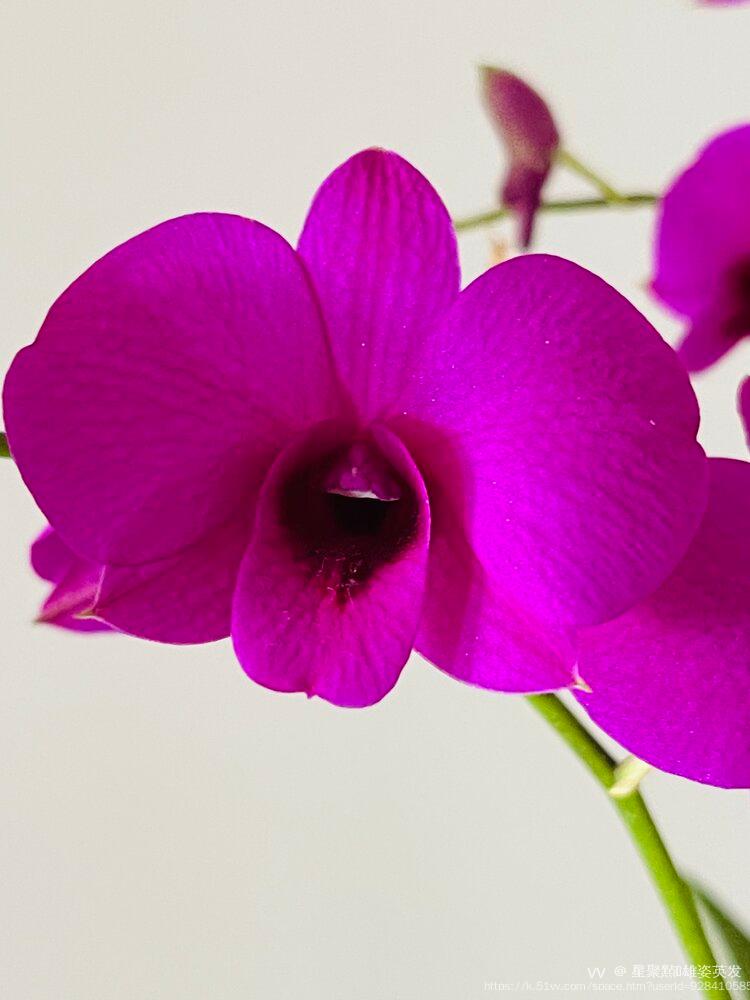 星聚㸃🎆雄姿英发