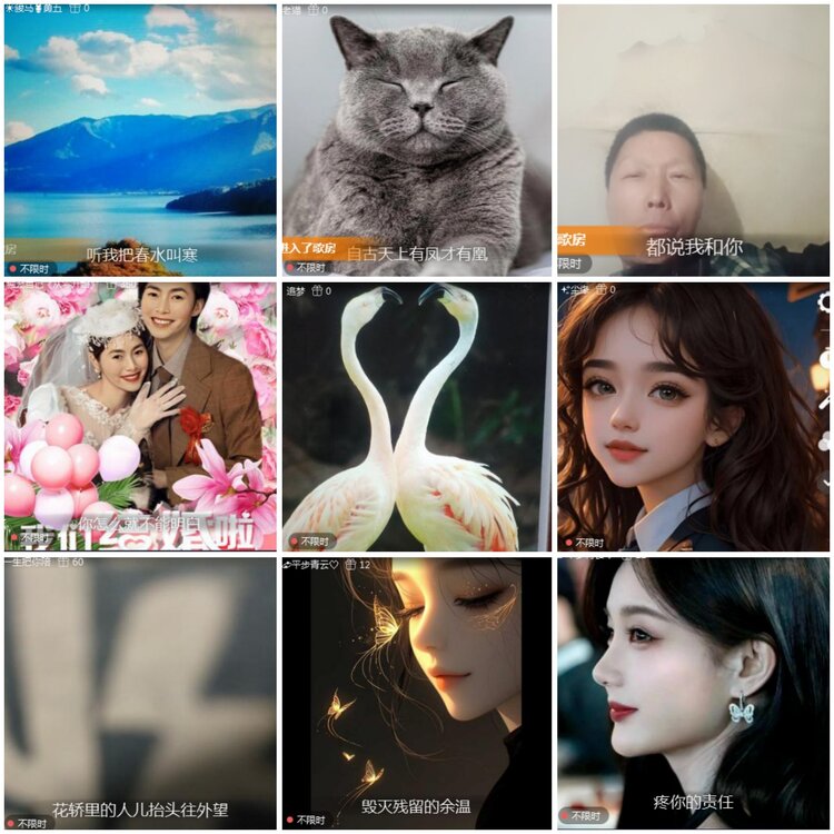 思点🎤V娱热点