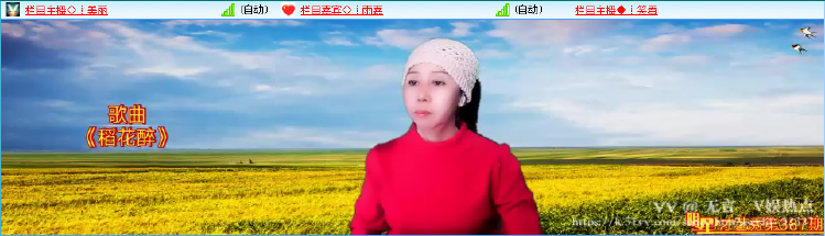 无言🎤V娱热点