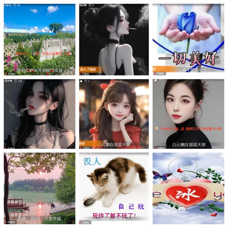 海燕🎤V娱热点