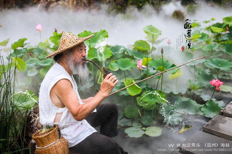 老翁独钓醉夏莲