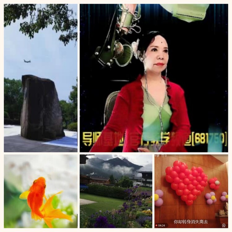 落雪🎤V娱热点