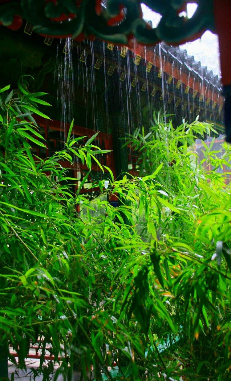 荷塘月色