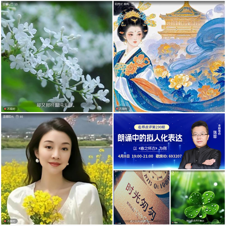无言🎤V娱热点