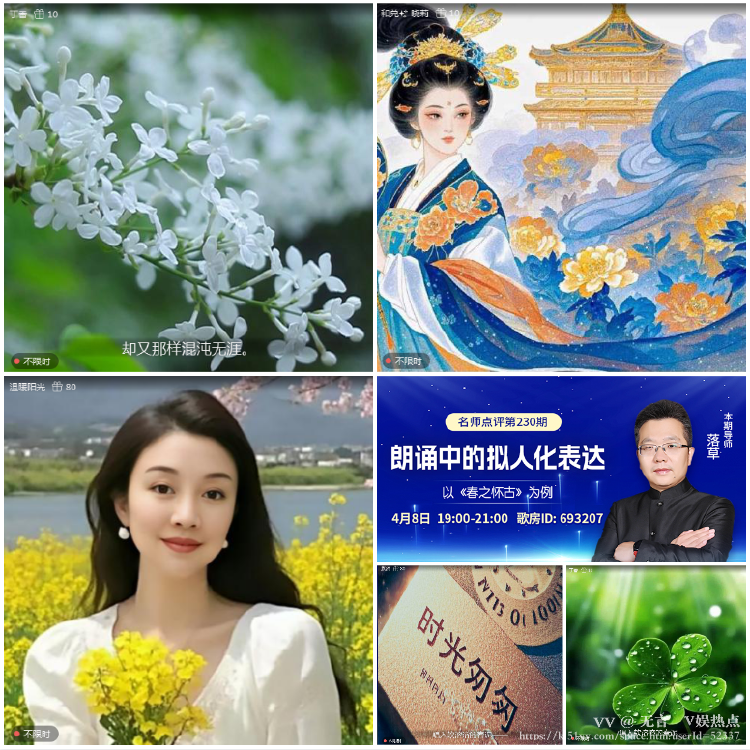 无言🎤V娱热点