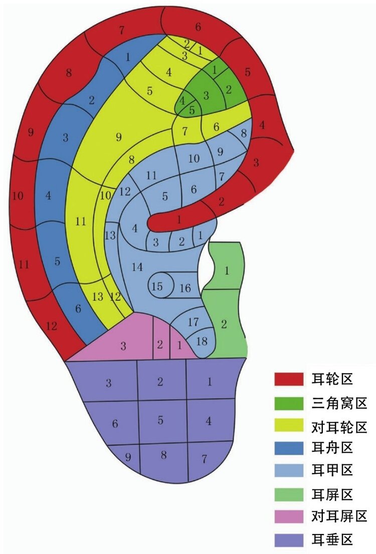 《中医健康养生》第六十课