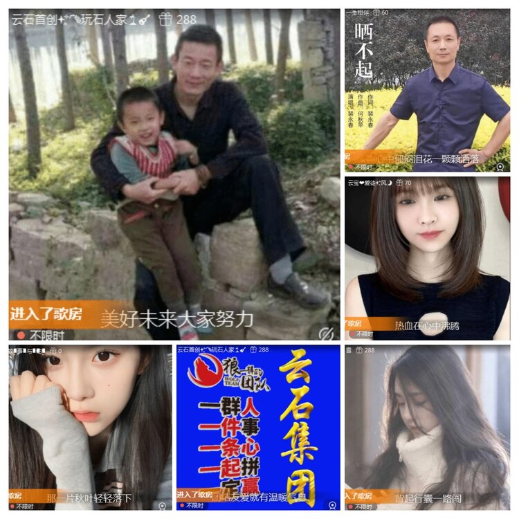 海燕🎤V娱热点