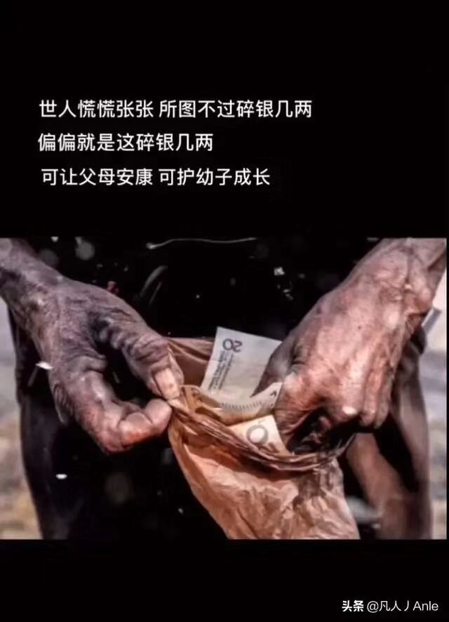 甲由