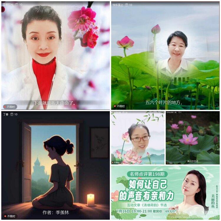 无言🎤V娱热点