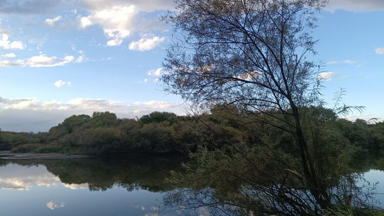 雪儿🎤V娱热点