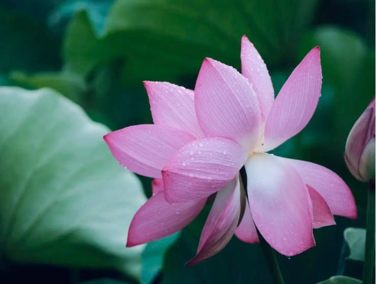 小浅🎤V娱热点