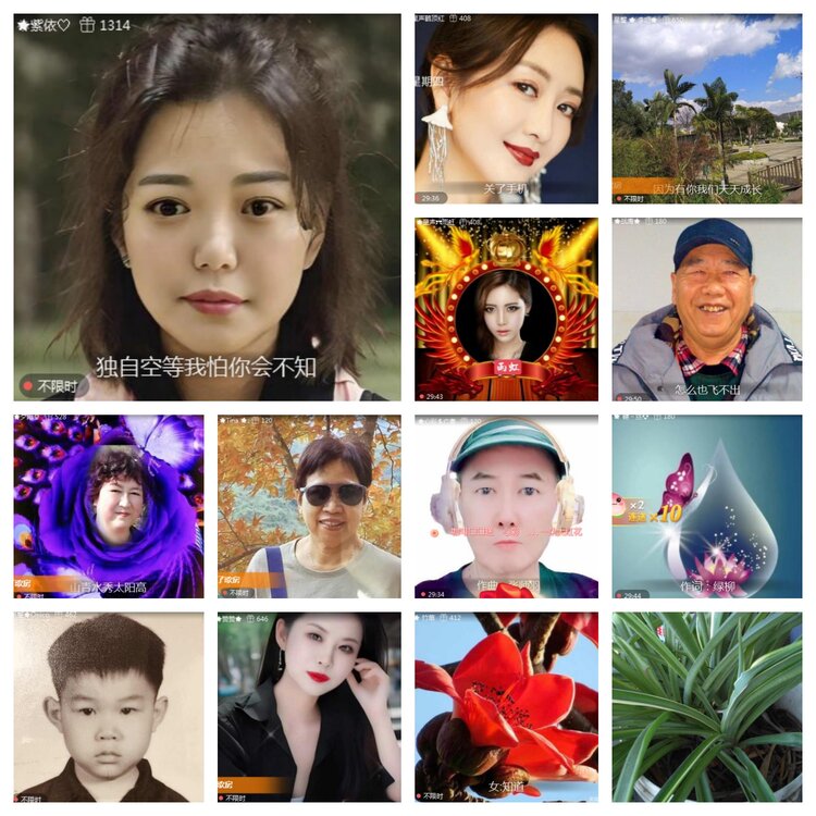 海燕🎤V娱热点