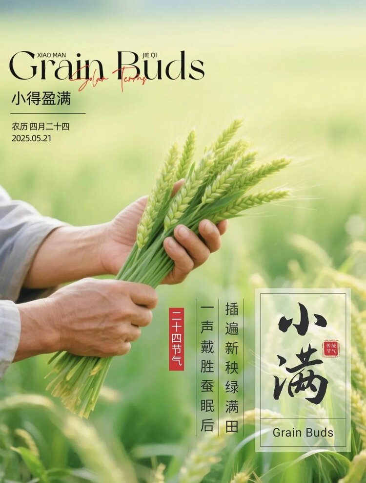 小浅🎤V娱热点