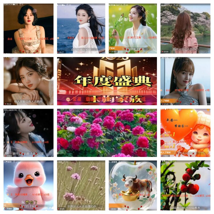 海燕🎤V娱热点