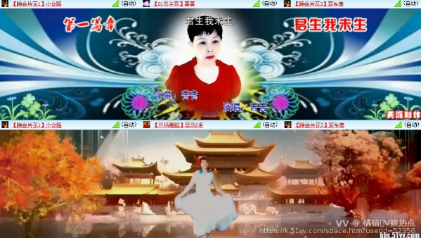 橘猫🎤V娱热点