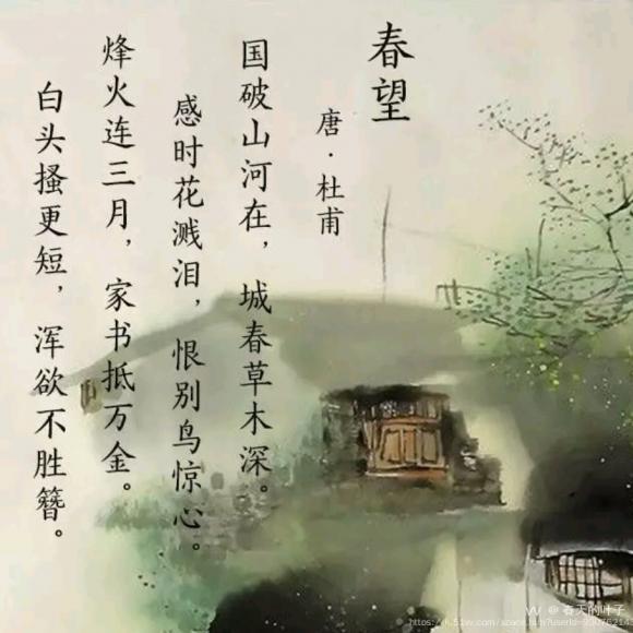 春天的叶子