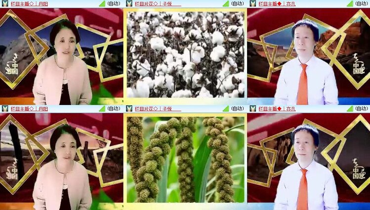 浓茶🎤V娱热点