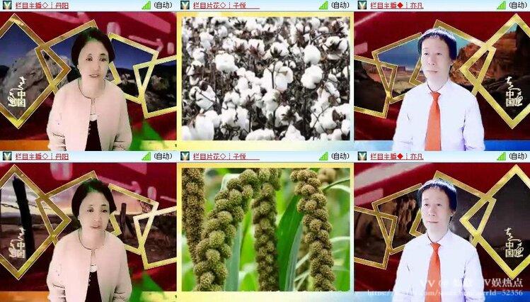 如意🎤V娱热点