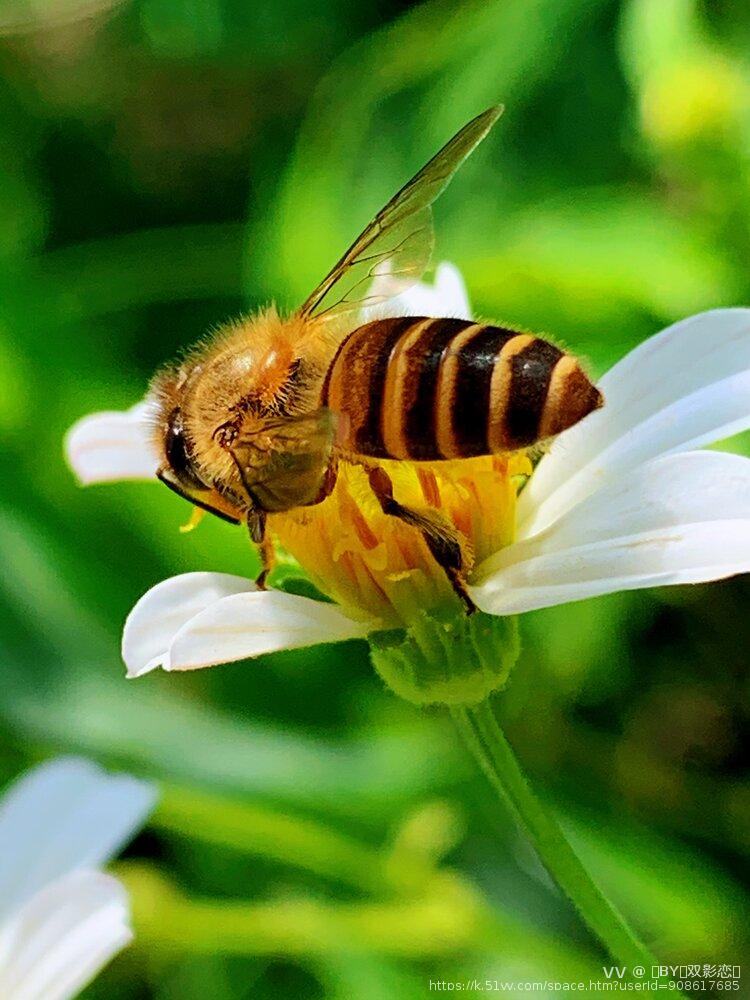 🎸BY💫双影恋🌺