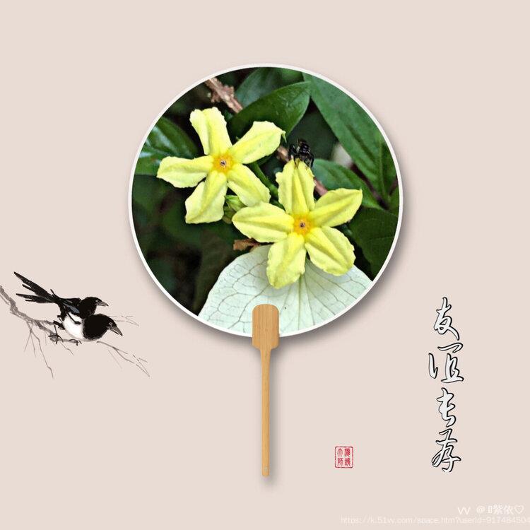 🌟紫依‮♡‭