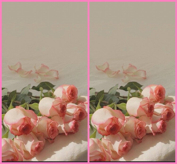 惜缘🎤V娱热点