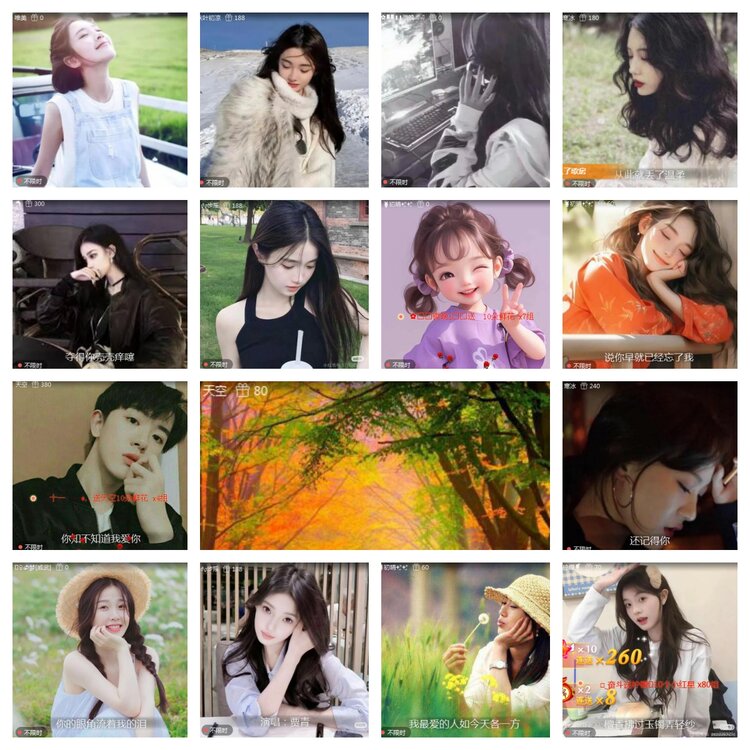 海燕🎤V娱热点