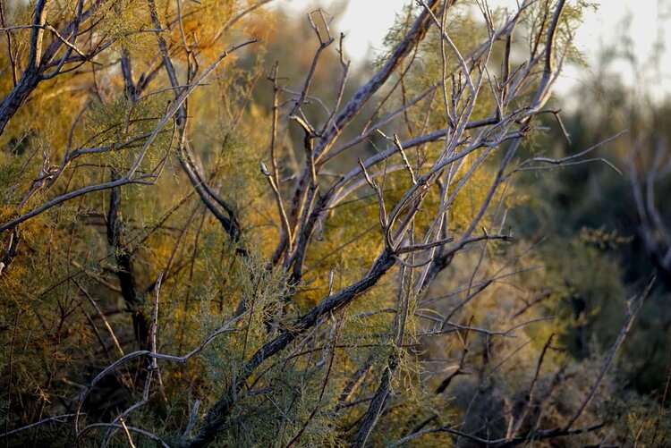 一空万有【美摄视界】