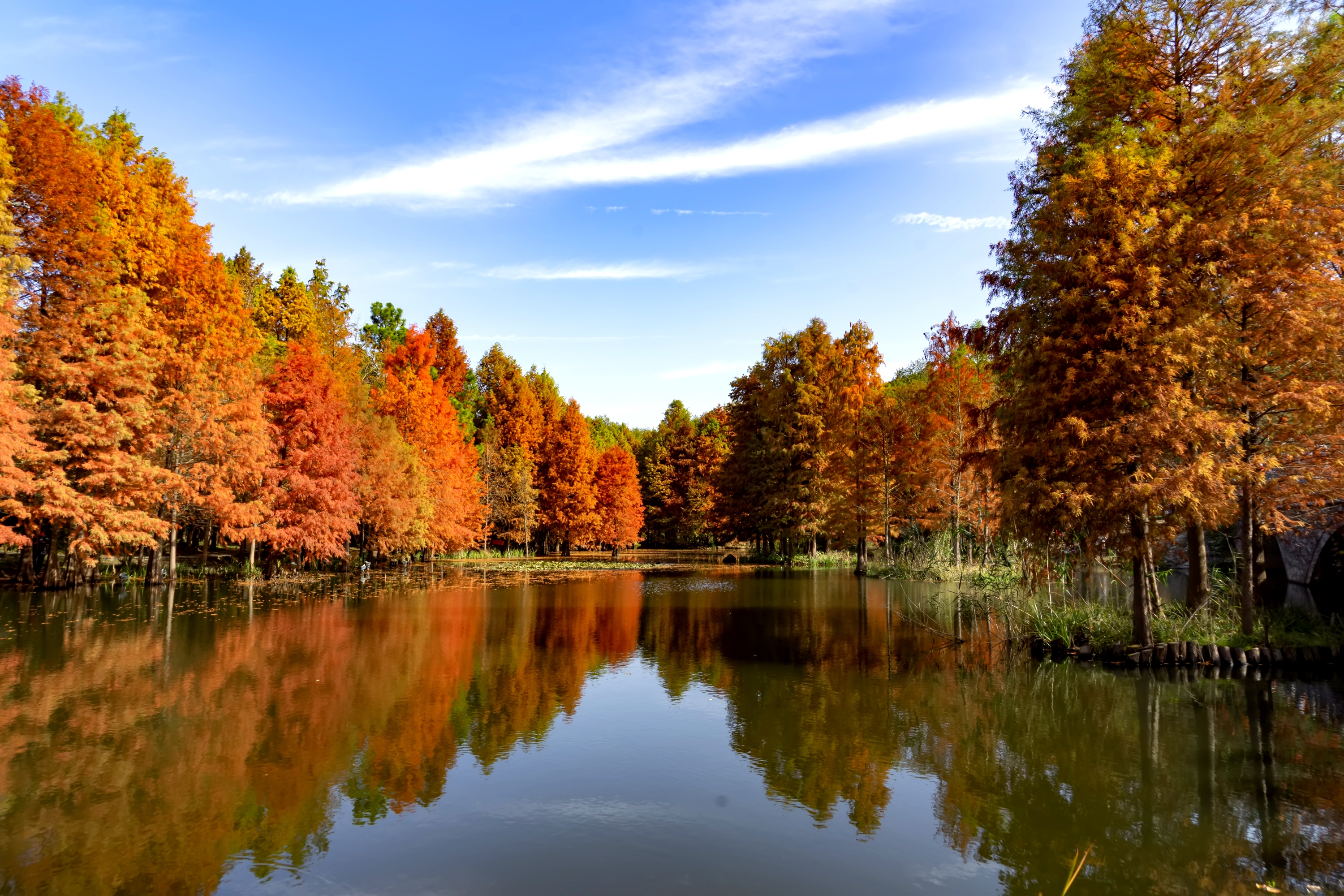 寻觅秋色五彩斑斓的燕雀湖