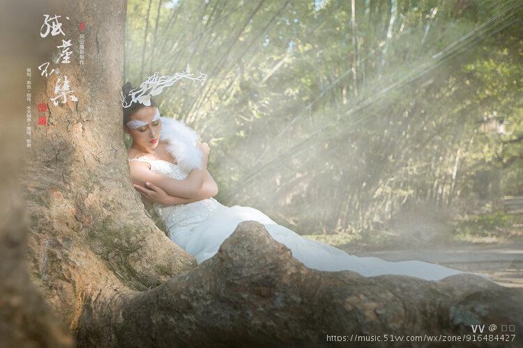 唤醒春天悄悄来到小小的山巅如盛开的花儿雪白的精灵纤尘不染