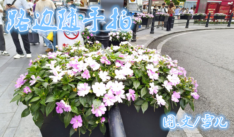 雪儿🎤V娱热点