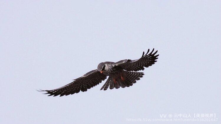 云中山人【美摄视界】