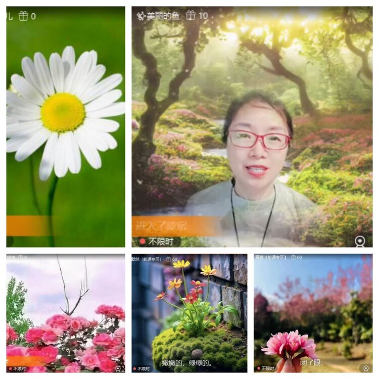 梅香🎤V娱热点