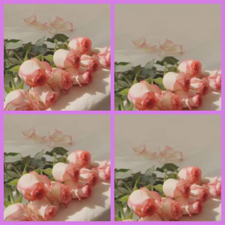 杜影🎤V娱热点