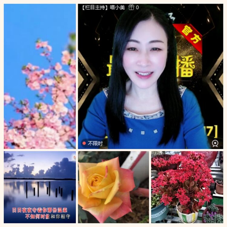 落雪🎤V娱热点