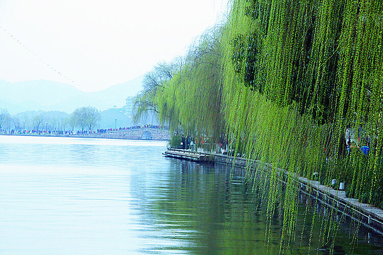 小浅🎤V娱热点