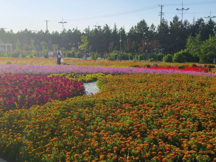 雪儿🎤V娱热点