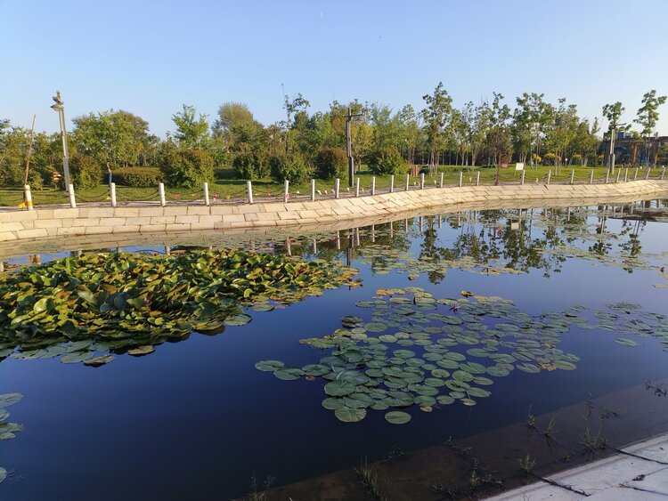 雪儿🎤V娱热点