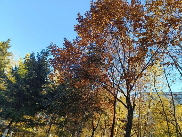 雪儿🎤V娱热点