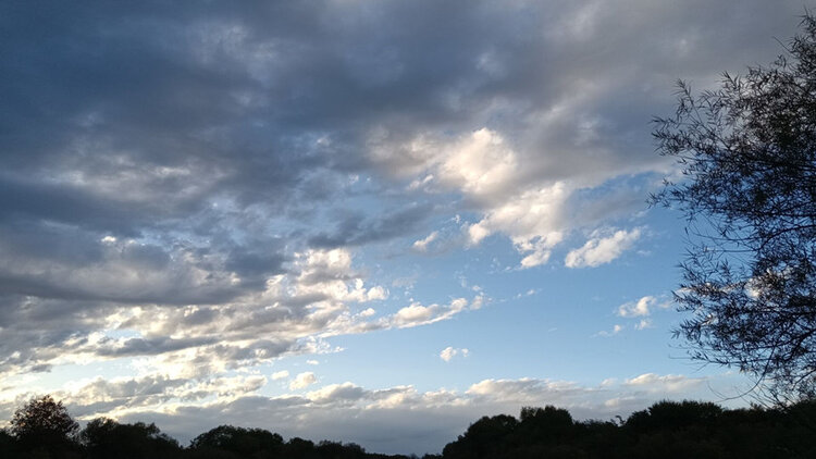 雪儿🎤V娱热点