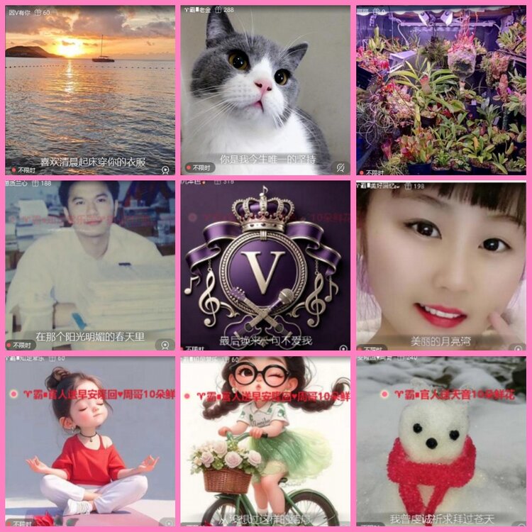 惜缘🎤V娱热点