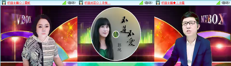 无言🎤V娱热点