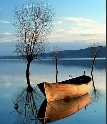 一叶小舟【爱花家园】