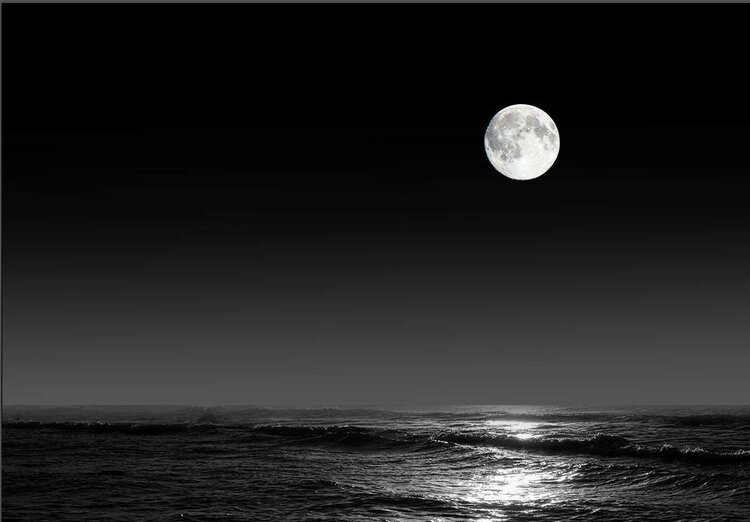 诉予黑夜那抹月光