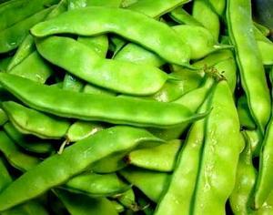 〖中国音院〗学员天使