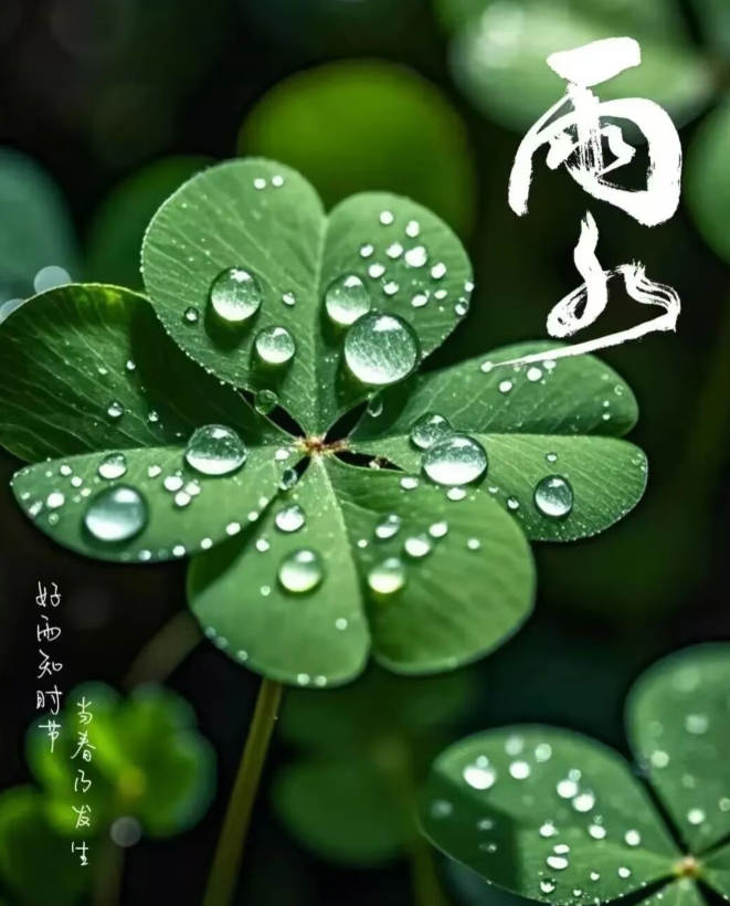 飘雪🎤V娱热点