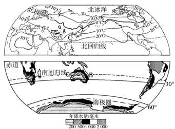 大槐树