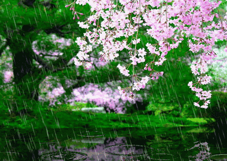 450_320gif 动态图 动图