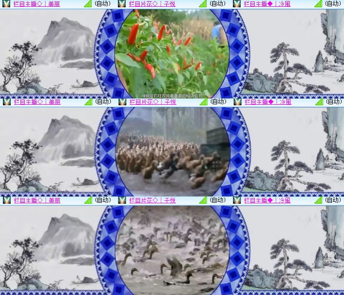 海燕🎤V娱热点